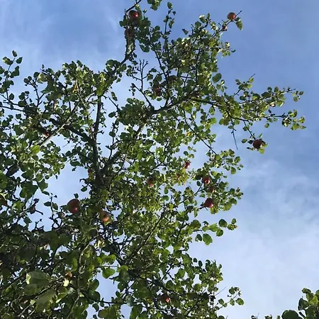 ヴィラ Nedre Eie Telemark