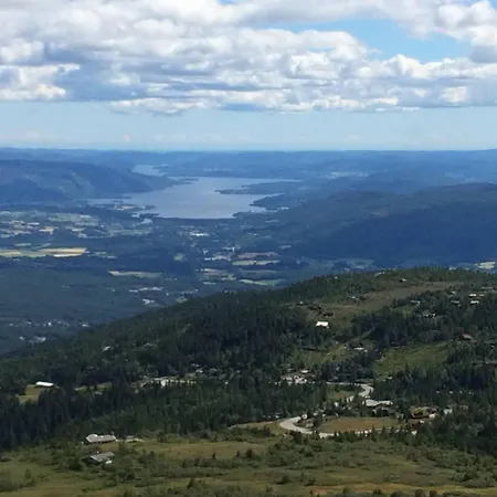 ヴィラ Nedre Eie Telemark