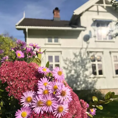 Nedre Eie Villa