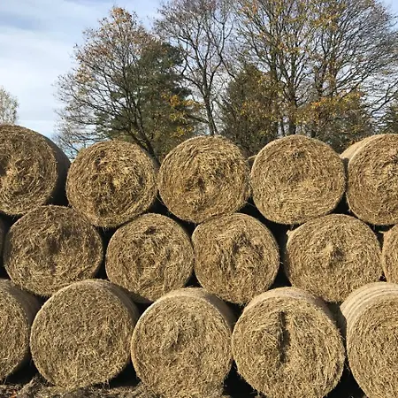 Nedre Eie Telemark *