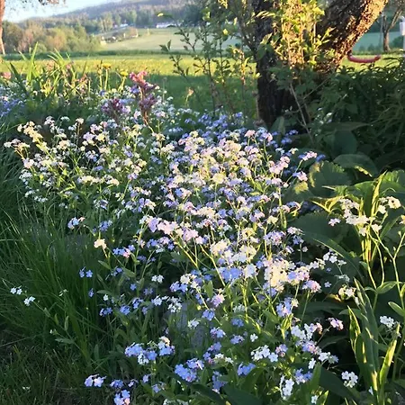 Villa Nedre Eie Telemark