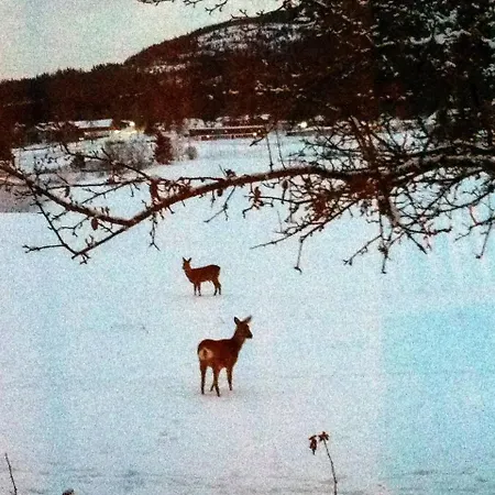 Nedre Eie Telemark Villa *