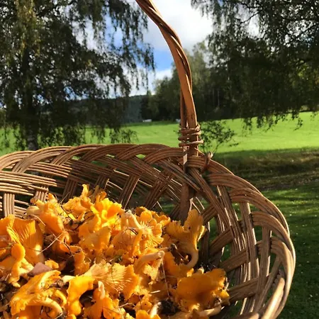 Nedre Eie Telemark * Lunde