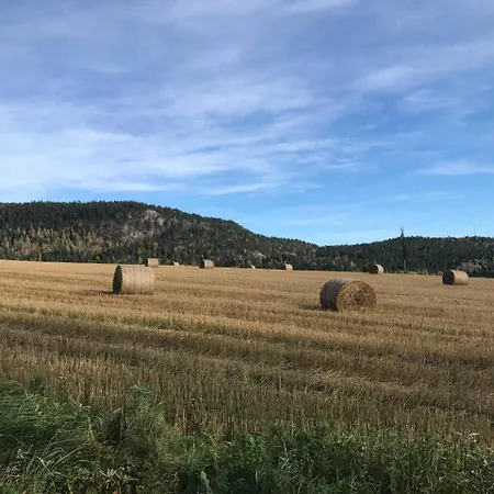 Nedre Eie Telemark * Lunde