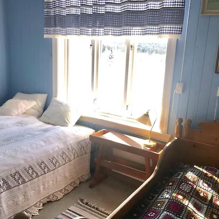 ヴィラ Nedre Eie Telemark