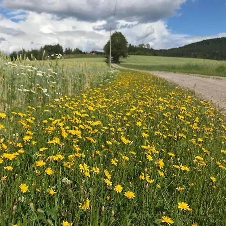 Nedre Eie Telemark *