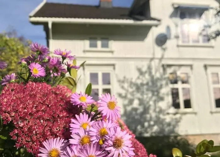 Nedre Eie Telemark Villa