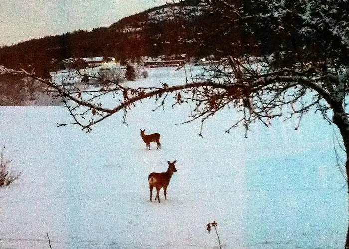 Nedre Eie Telemark Villa *