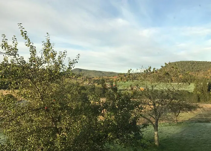 Villa Nedre Eie Telemark *