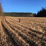 Nedre Eie Telemark Villaer *