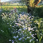 Villaer Nedre Eie Telemark