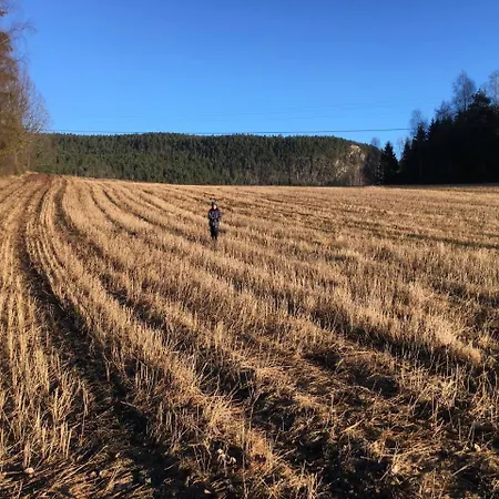 Nedre Eie Telemark Вилла *